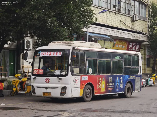 川Y17305