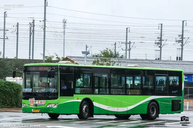 鲁G N3678