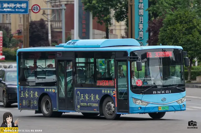 800BUS