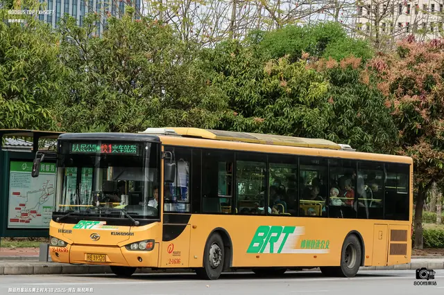 800BUS