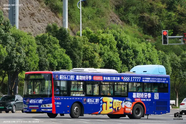 800BUS