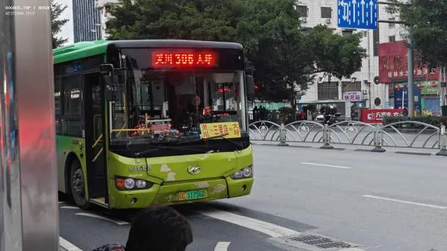 桂C11756D