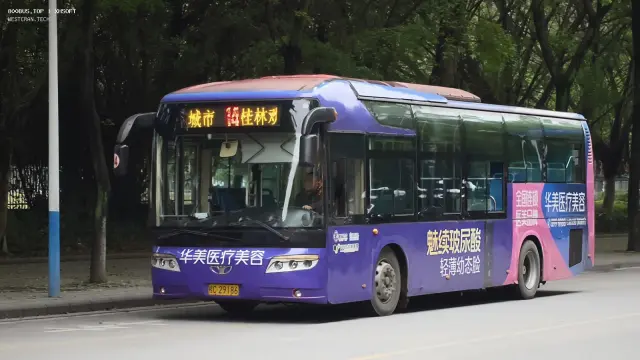 桂C 29186