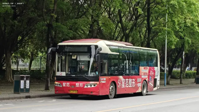 桂C 29156