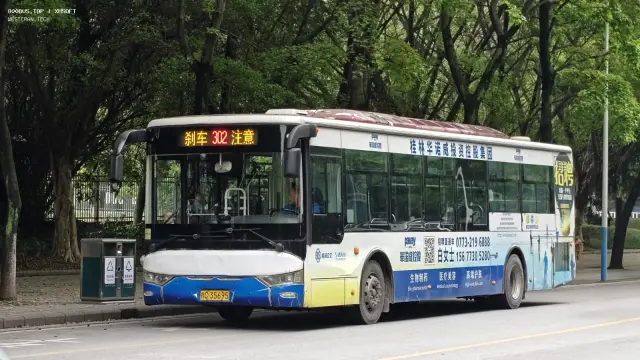 桂C 35695