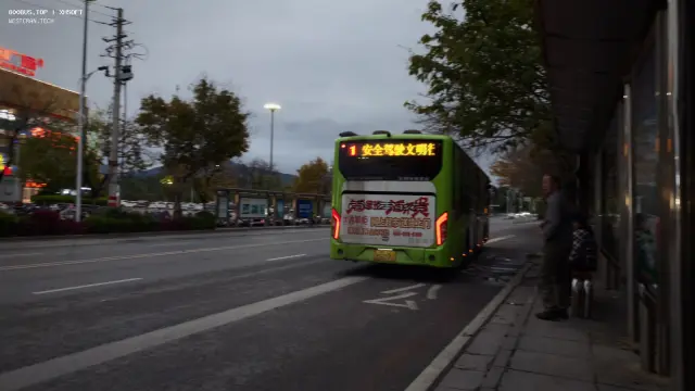 800BUS