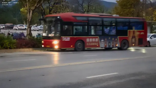 800BUS
