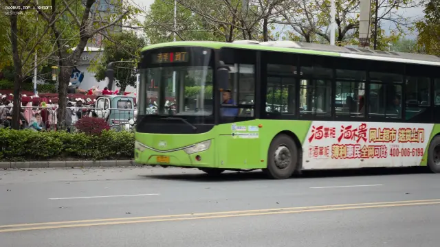 800BUS