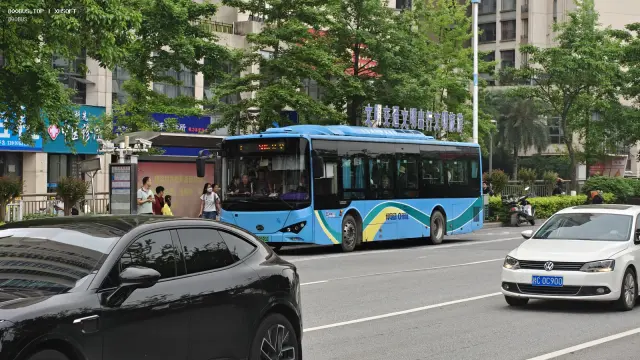 800BUS