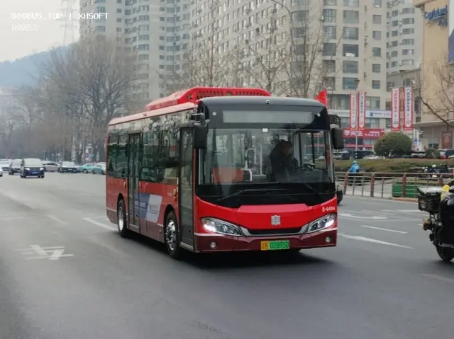 800BUS