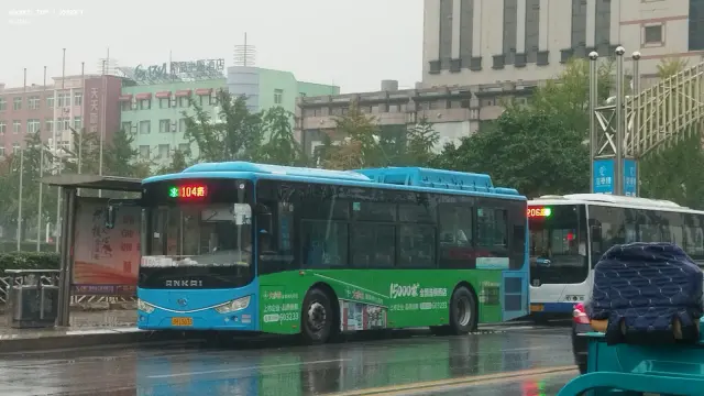 800BUS