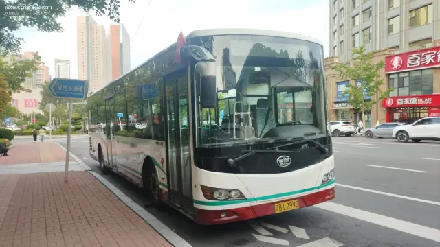 800BUS