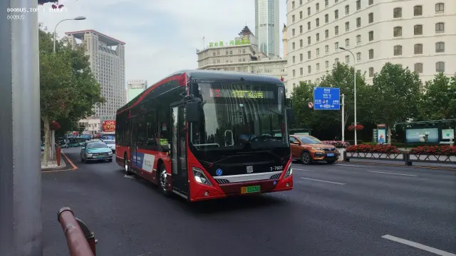 800BUS