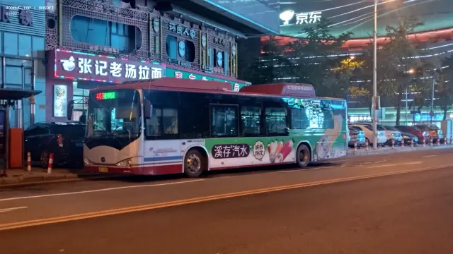 800BUS