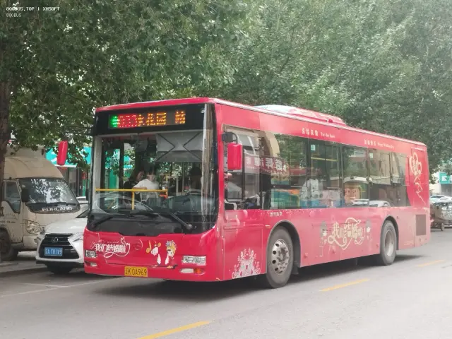 800BUS