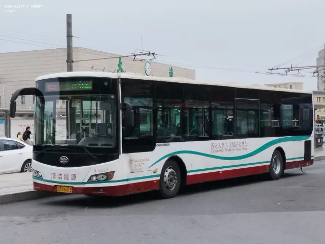 800BUS