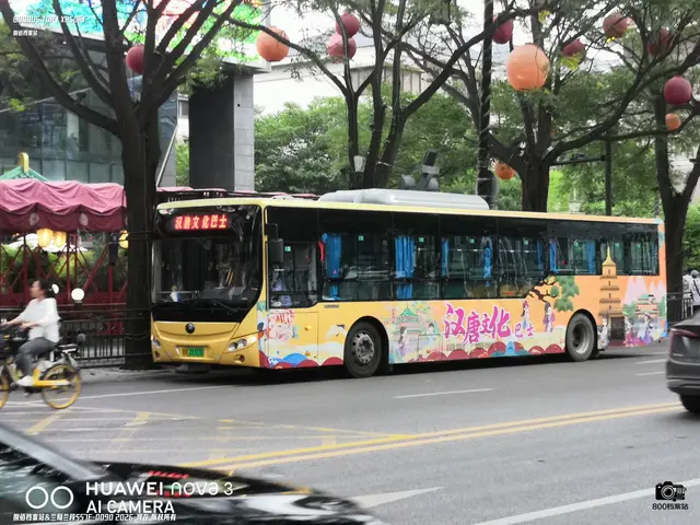 陕A 21313D