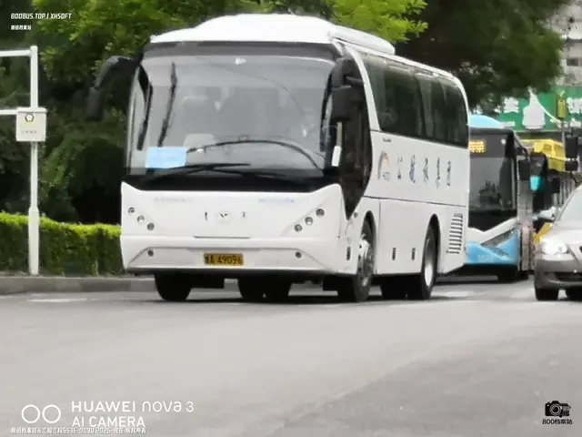 甘A 49096