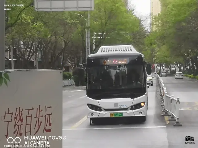 甘A 03949D