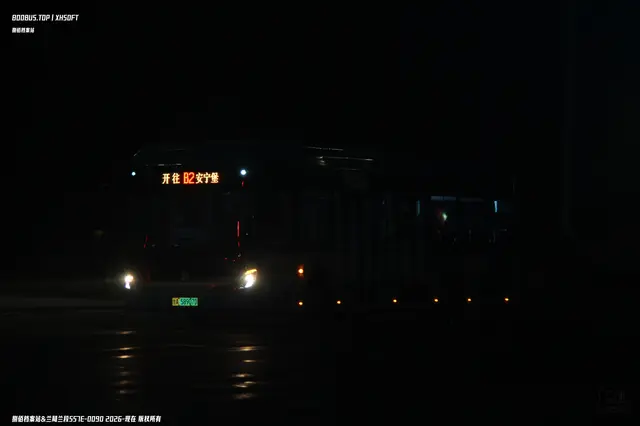 甘A 58907D