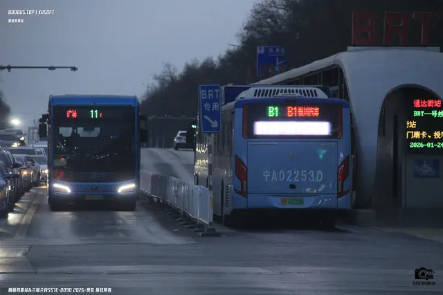 宁A 01215D   宁A 02253D