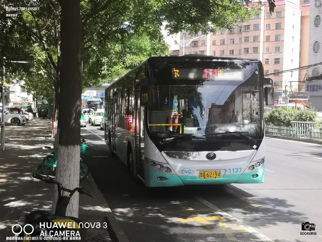 甘A 62194