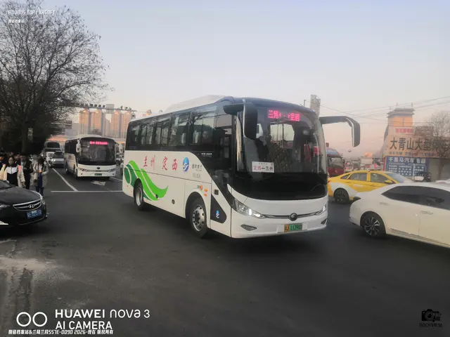 甘J 11398D