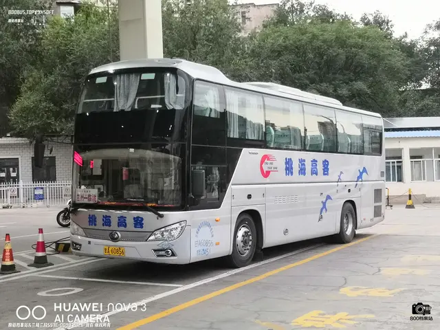 甘A 60856