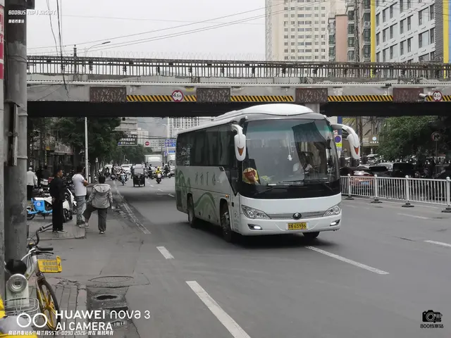 甘N 65986