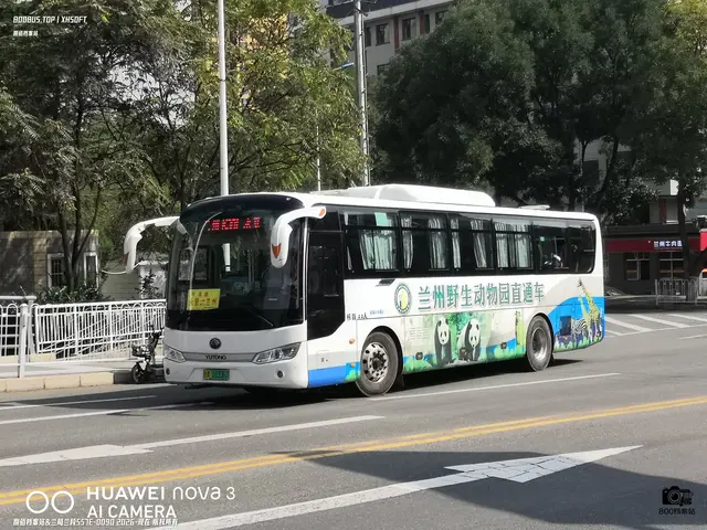 甘A 16336D
