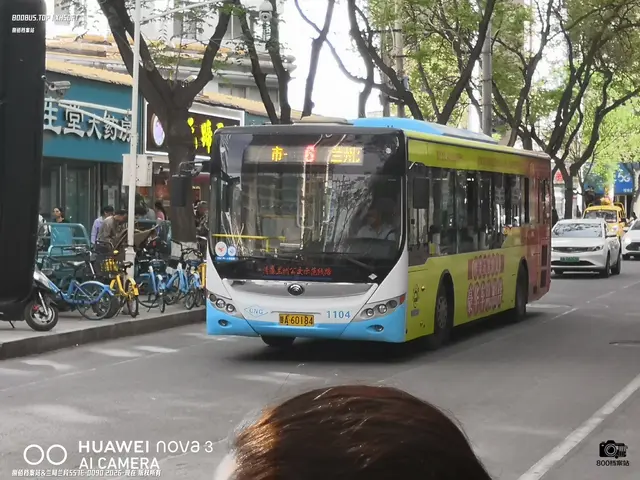 甘A 60184