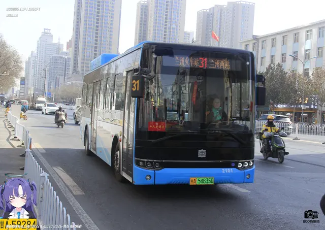 800BUS