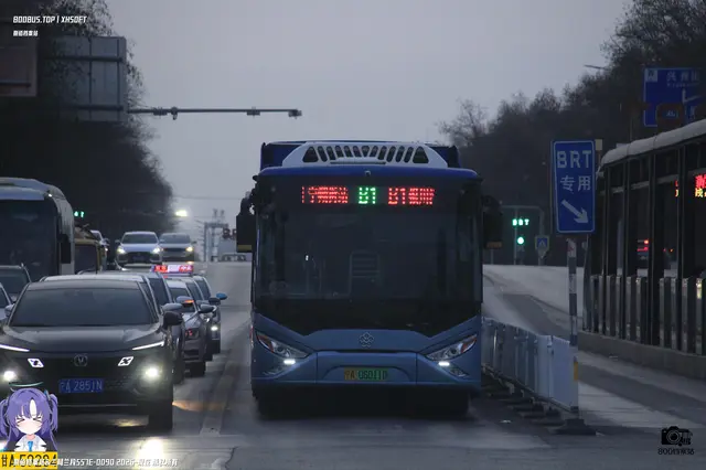 800BUS