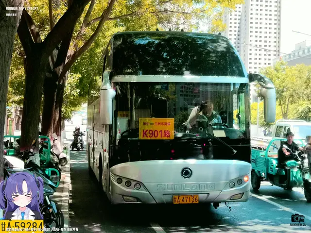800BUS