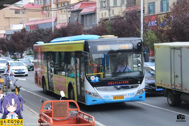 800BUS