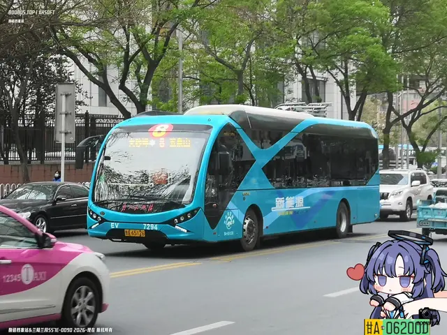 800BUS