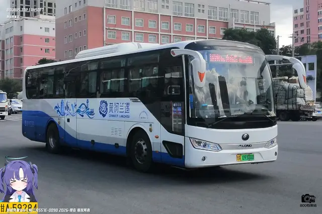 800BUS