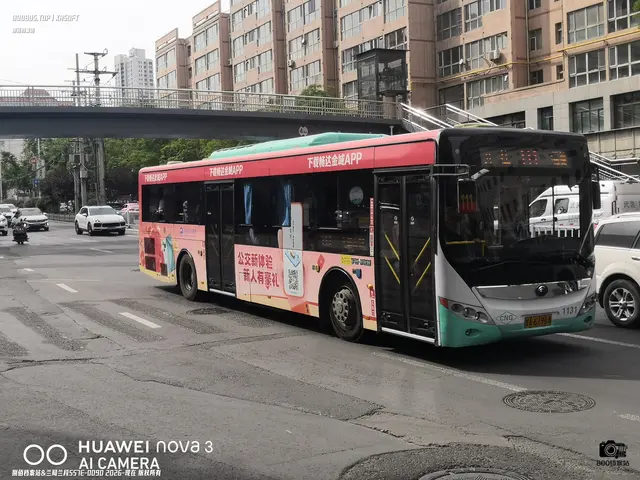 800BUS