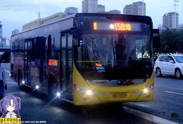 800BUS