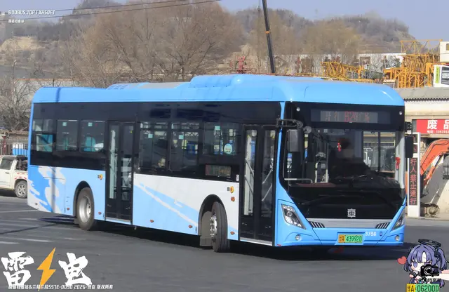 800BUS