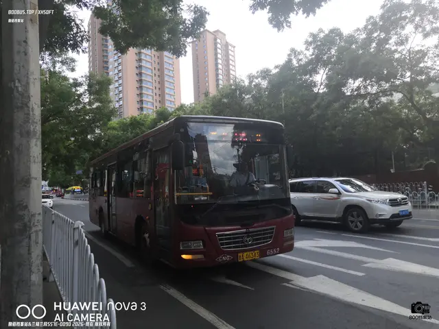 甘A 46343