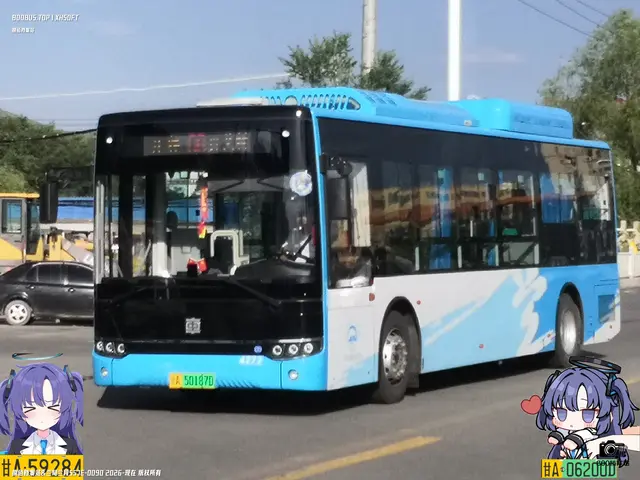 甘A 50187D