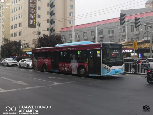 甘A 00528D