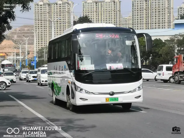 甘J 16686D