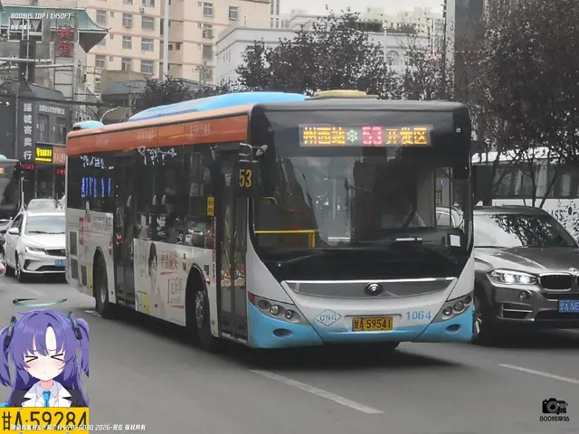 甘A 59541