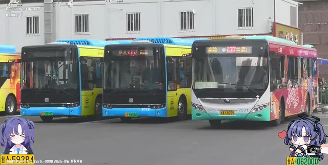 甘A 07898D  甘A 40010D  甘A 68299
