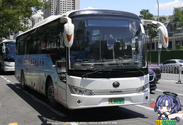 甘A 06200D