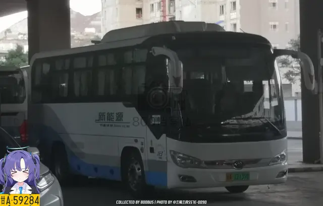 800BUS