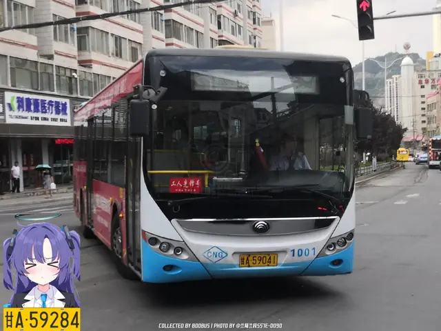 800BUS