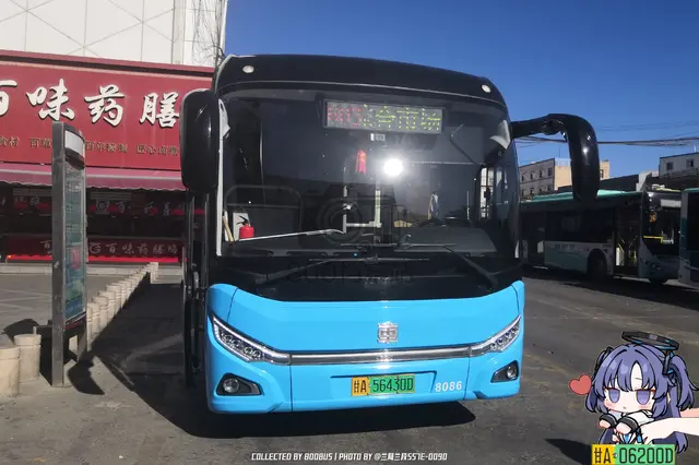 800BUS